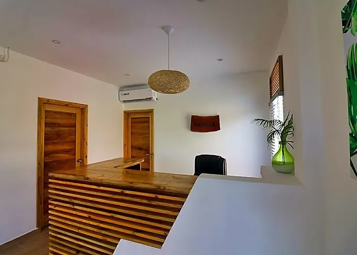 Hotel Venlia